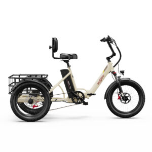 OneSport OT30 Pro